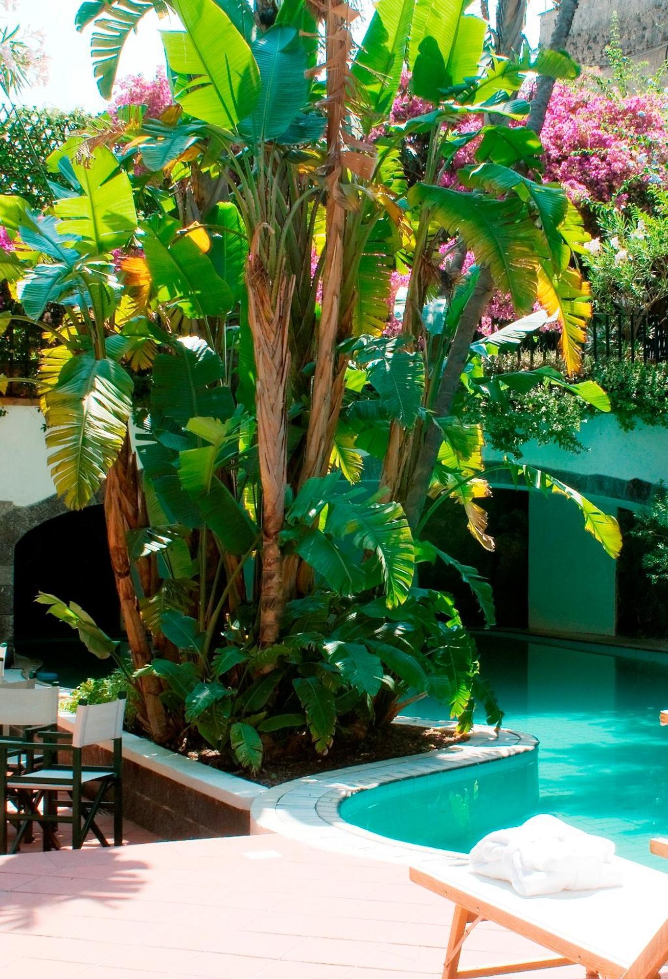 Hotel La Villarosa Terme Ischia Exterior photo